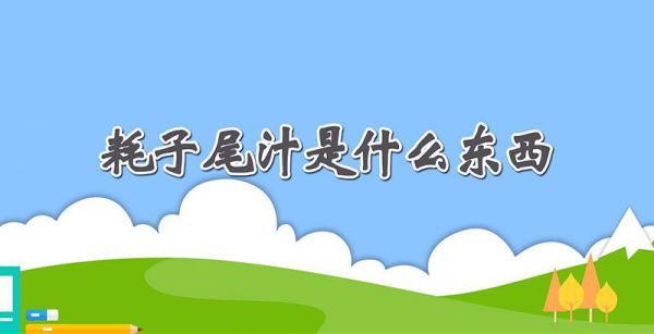耗子尾汁是什么东西