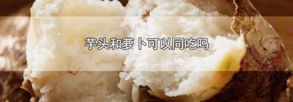 芋头和萝卜可以同吃吗