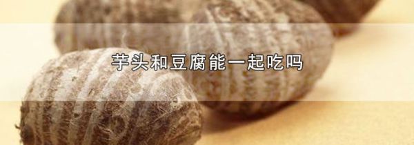芋头和豆腐能一起吃吗