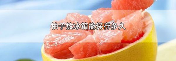 柚子放冰箱能保存多久