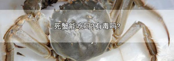 死蟹能吃吗?有毒吗?