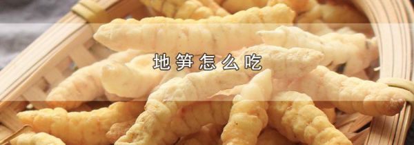 地笋怎么吃