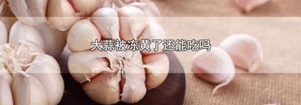 大蒜被冻黄了还能吃吗