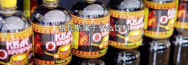 格瓦斯属于什么饮料