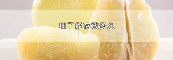 柚子能存放多久