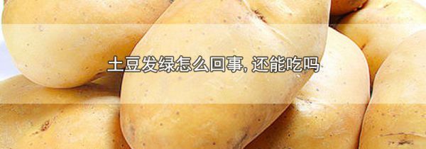 土豆发绿怎么回事,还能吃吗