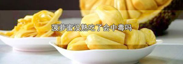 菠萝蜜没熟吃了会中毒吗
