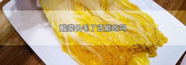 酸菜长毛了还能吃吗