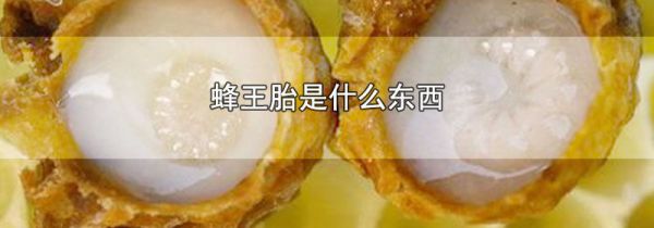 蜂王胎是什么东西