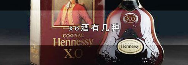 xo酒有几种