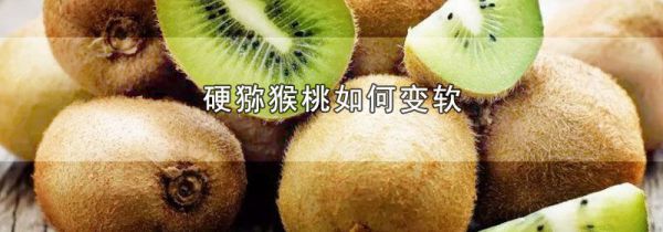 硬猕猴桃如何变软