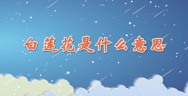 白莲花是什么意思