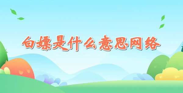 白嫖是什么意思网络