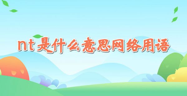 nt是什么意思网络用语