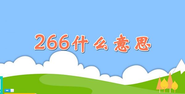 266什么意思