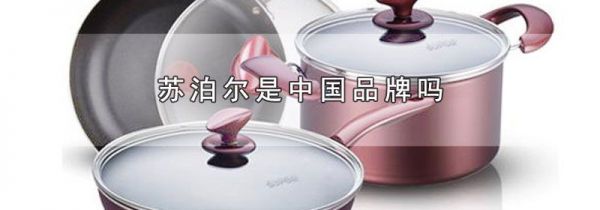 苏泊尔是中国品牌吗