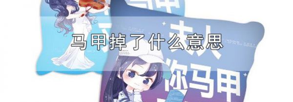 马甲掉了什么意思