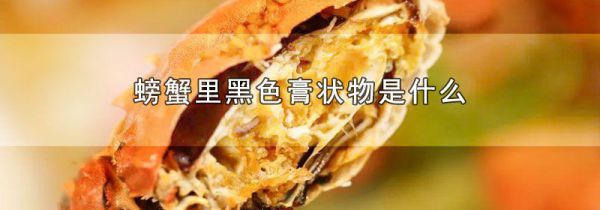 螃蟹里黑色膏状物是什么