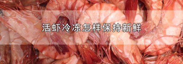 活虾冷冻怎样保持新鲜