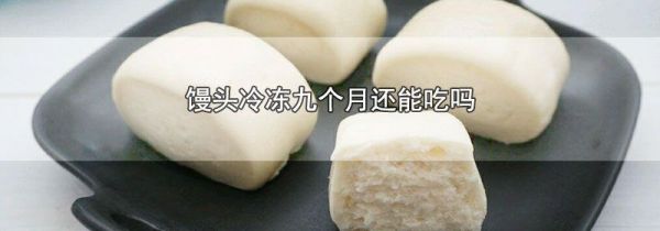 馒头冷冻九个月还能吃吗