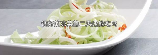 调好的凉菜第二天还能吃吗