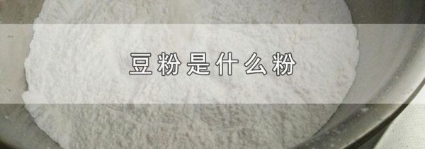 豆粉是什么粉