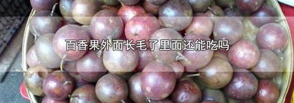百香果外面长毛了里面还能吃吗