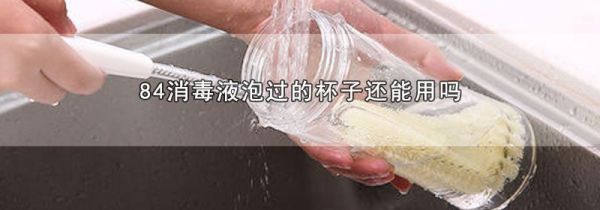 84消毒液泡过的杯子还能用吗
