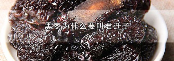 黑枣为什么要叫君迁子
