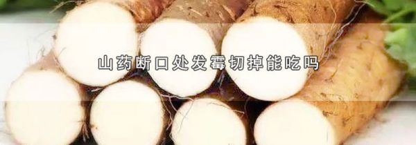 山药断口处发霉切掉能吃吗