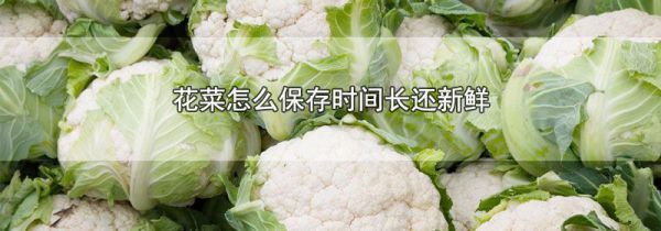 花菜怎么保存时间长还新鲜