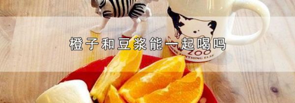 橙子和豆浆能一起喝吗