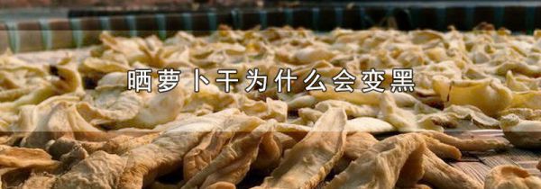 晒萝卜干为什么会变黑