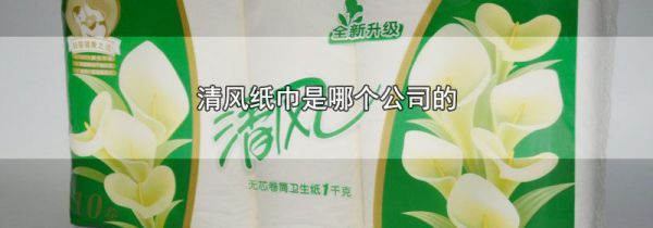 清风纸巾是哪个公司的