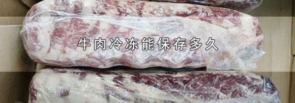 牛肉冷冻能保存多久