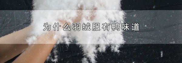 为什么羽绒服有鸭味道