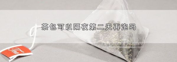 茶包可以隔夜第二天再泡吗