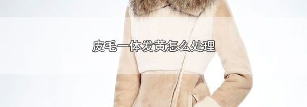 皮毛一体发黄怎么处理