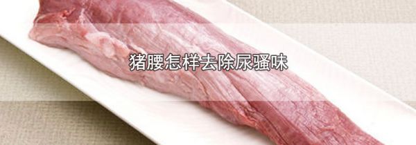猪腰怎样去除尿骚味