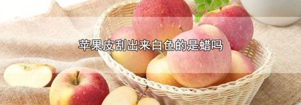苹果皮刮出来白色的是蜡吗