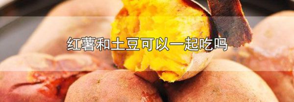 红薯和土豆可以一起吃吗