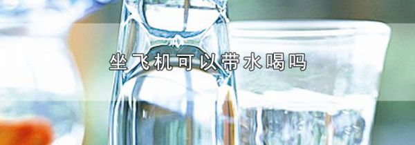 坐飞机可以带水喝吗