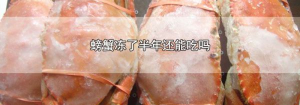 螃蟹冻了半年还能吃吗