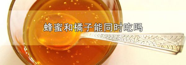 蜂蜜和橘子能同时吃吗