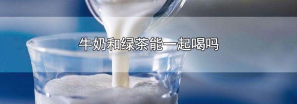 牛奶和绿茶能一起喝吗