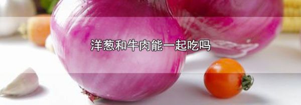 洋葱和牛肉能一起吃吗
