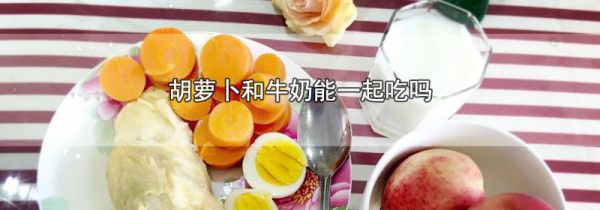 胡萝卜和牛奶能一起吃吗