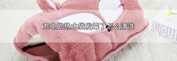 充电的热水袋发霉了怎么清洗