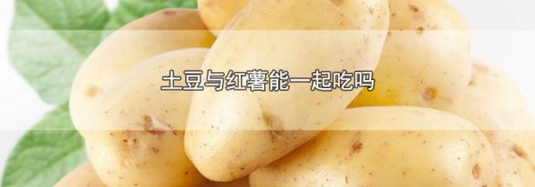 土豆与红薯能一起吃吗