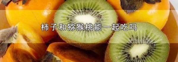 柿子和猕猴桃能一起吃吗